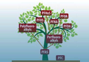 Case Cetrel: PFAS – Contaminantes eternos ou não?