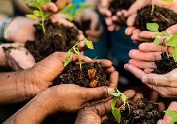 Dia Mundial do Meio Ambiente:  Você está disposto a mudar? Escola Infantil Florescer